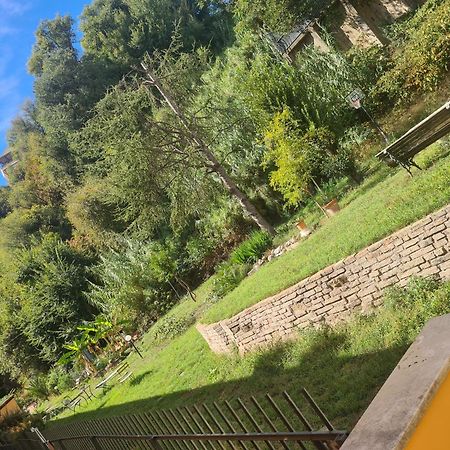 La Casa Di Nonna Peppina A Trastevere Rom Eksteriør billede