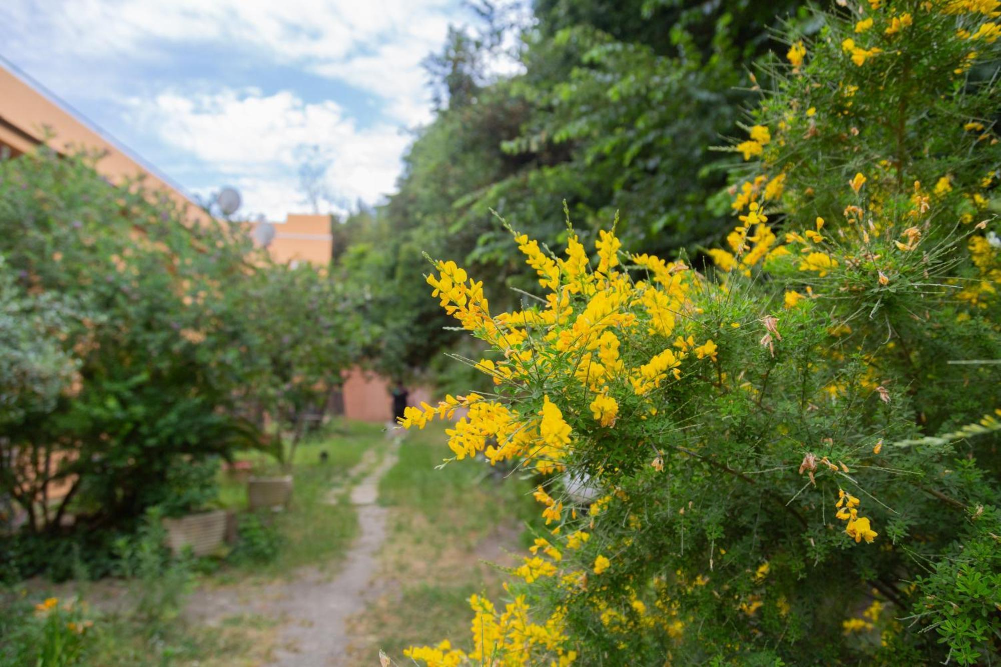 La Casa Di Nonna Peppina A Trastevere Rom Eksteriør billede